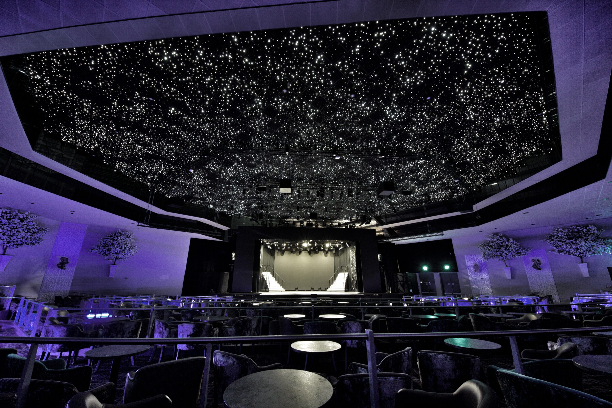 starlight ceiling tiles suspended ceiling