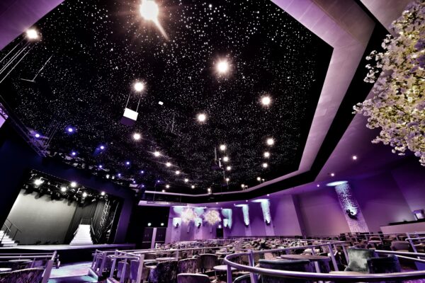starry ceiling fibre optic