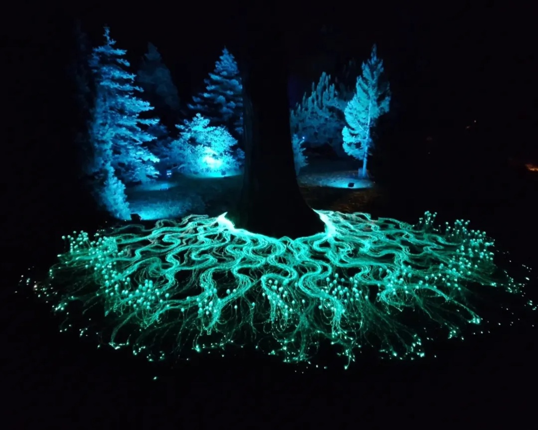 fibre optic lighting mycelium network