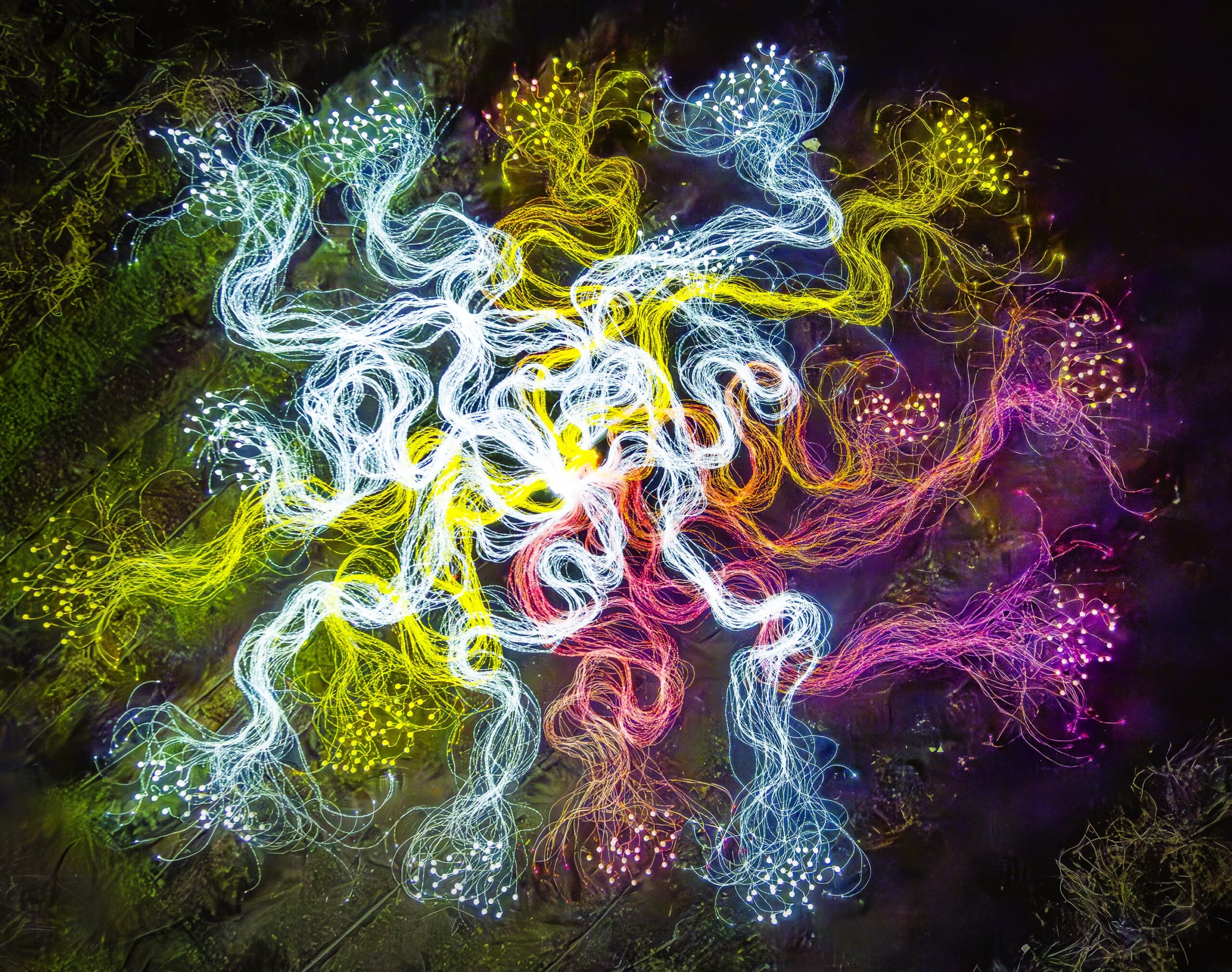 fibre optic lighting display mycelium network
