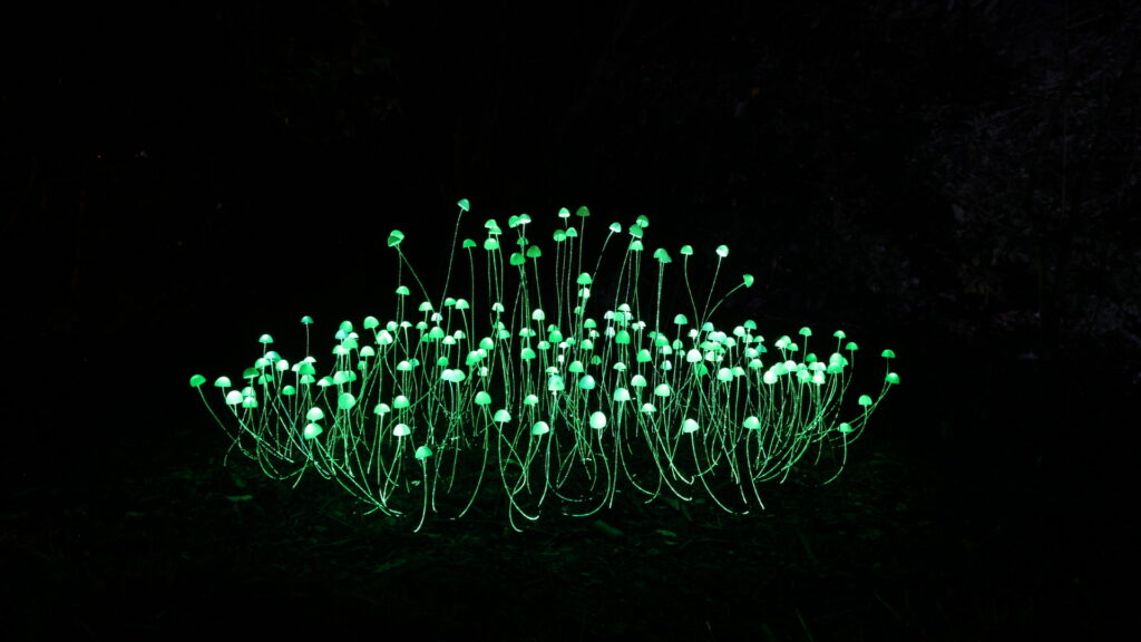 glowing mushrooms fibre optic lighting display