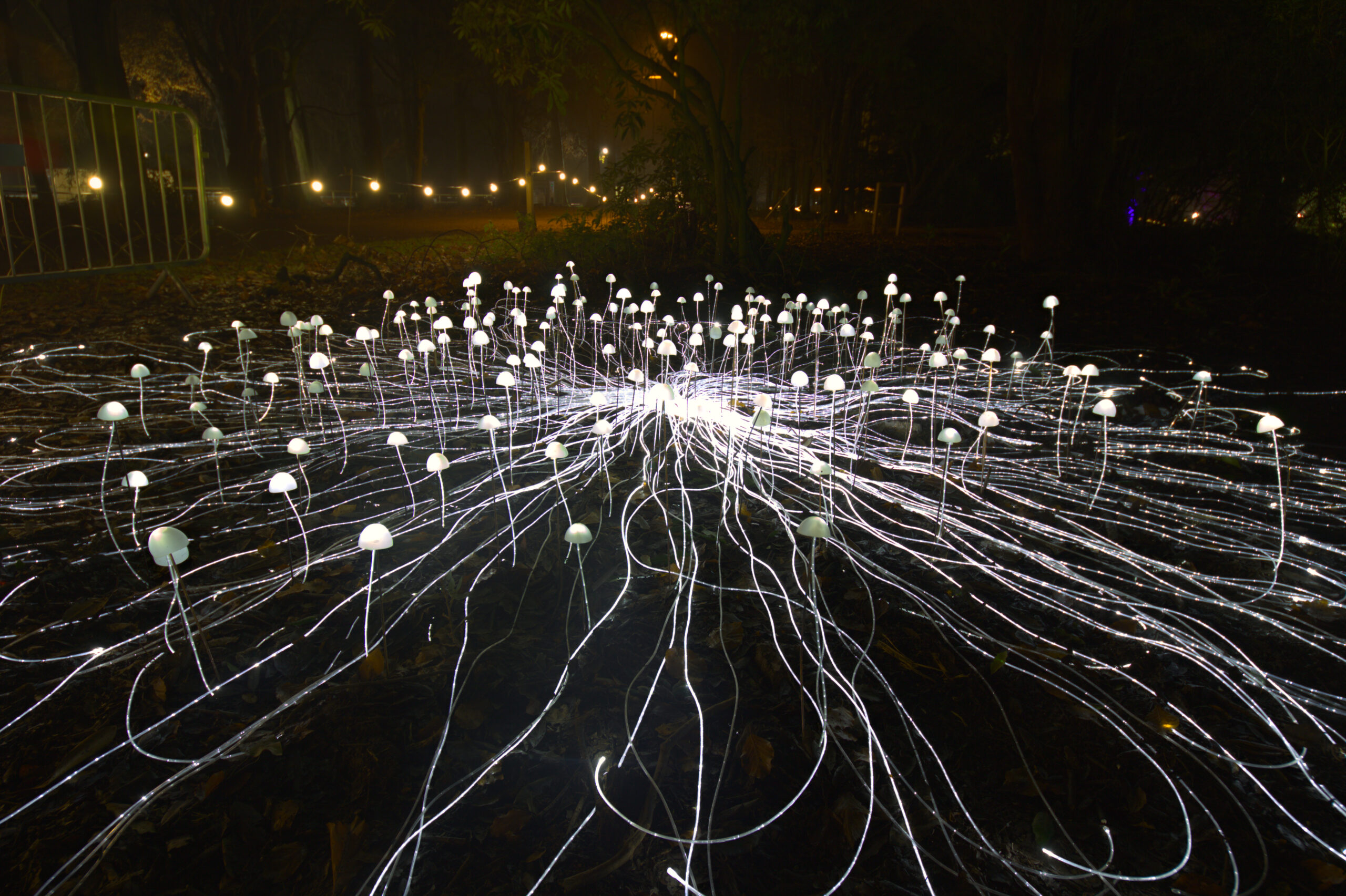 Fiber optic mushroom deals lamp