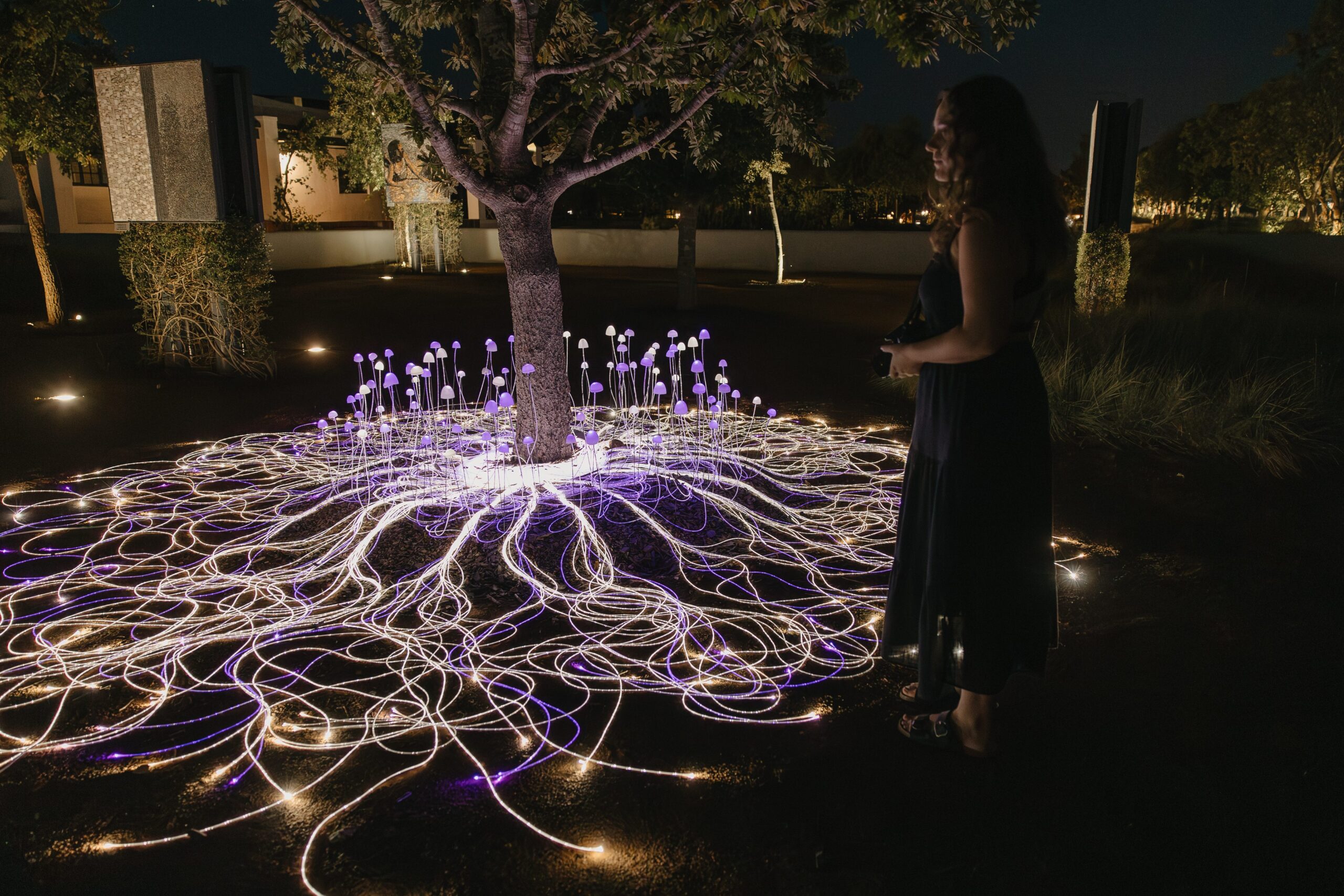 spier wine farm mycelium network mushroom installation